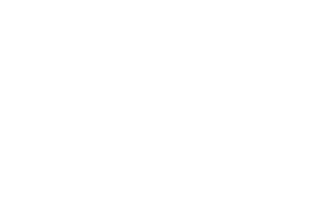 Vivus Inc. logo